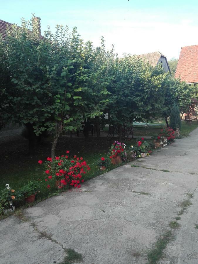 Kalotaszeg Vendeghaz Hotel Izvoru Crisului Exterior photo